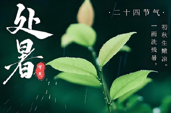 處暑：夏日的謝幕，秋意的序曲